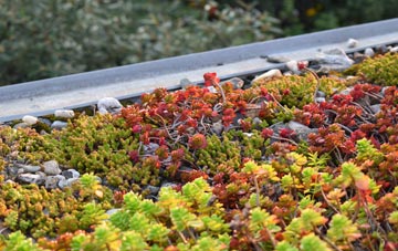 the cost of Kingsknowe green roof installation