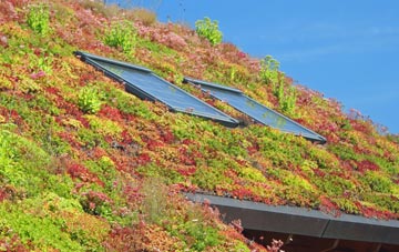 Kingsknowe living roof systems